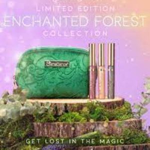 Enchanted Forest Shadows